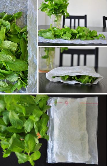 How to Keep Mint Leaves Fresh: 5 Simple Storage Solutions
