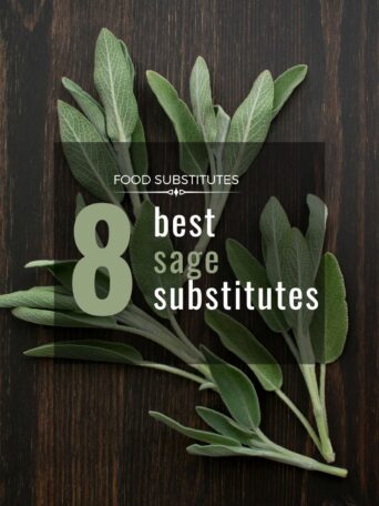 What are the best sage substitute options? Learn which herbs can create similar flavors to sage and how to substitute them properly.