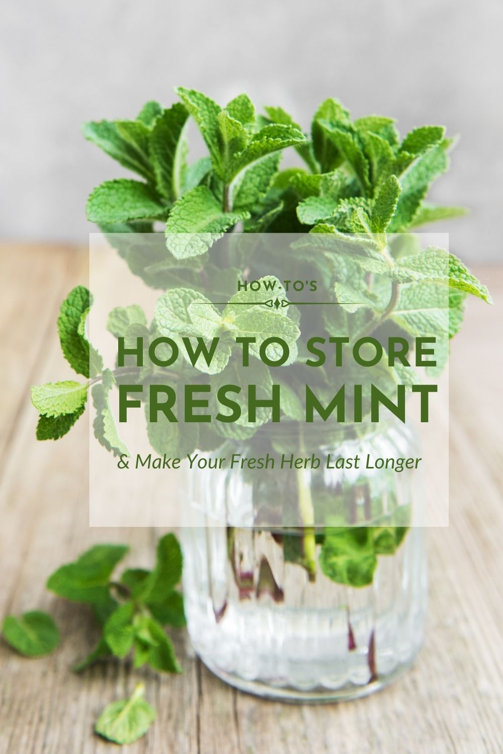 Buy Organic Mint Leaves - Fresh and Delicious