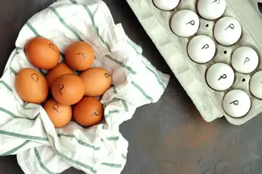 https://www.streetsmartkitchen.com/wp-content/uploads/marked-pasteurized-eggs.jpg?ezimgfmt=rs:372x247/rscb1/ng:webp/ngcb1